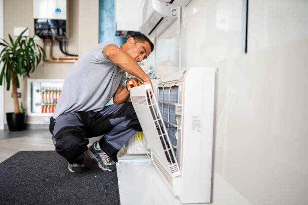 Best Air Duct Mold Removal  in Catasauqua, PA